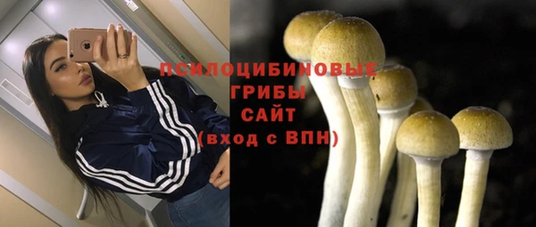 каннабис Дмитриев