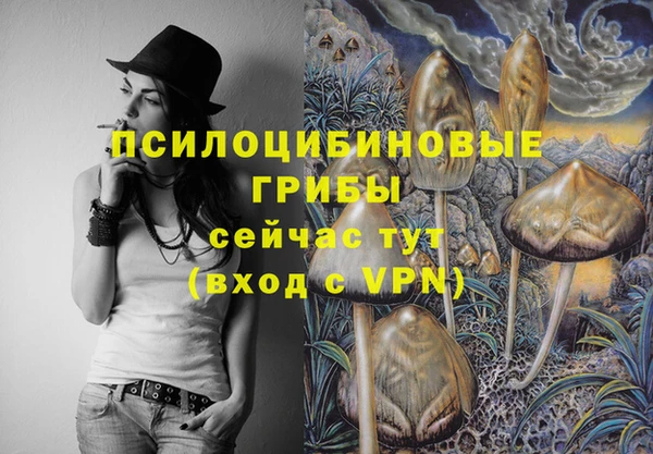 apvp Дмитров
