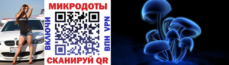 Купить Североуральск Псилоцибиновые грибы Psilocybine cubensis