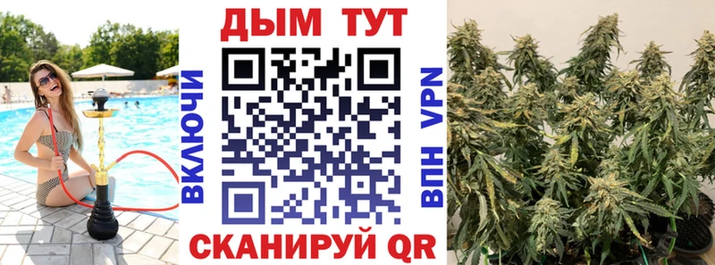 Каннабис Amnesia Североуральск